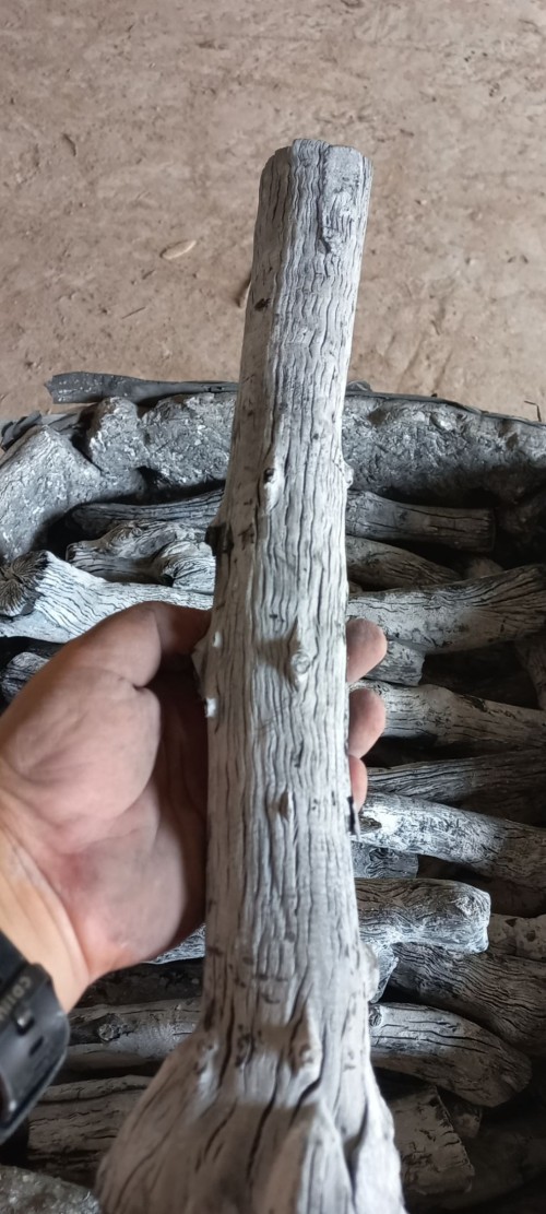 Good Quality 100% Natural Smokeless Hard Wood White Charcoal ( Binchotan) from Vietnam High quality